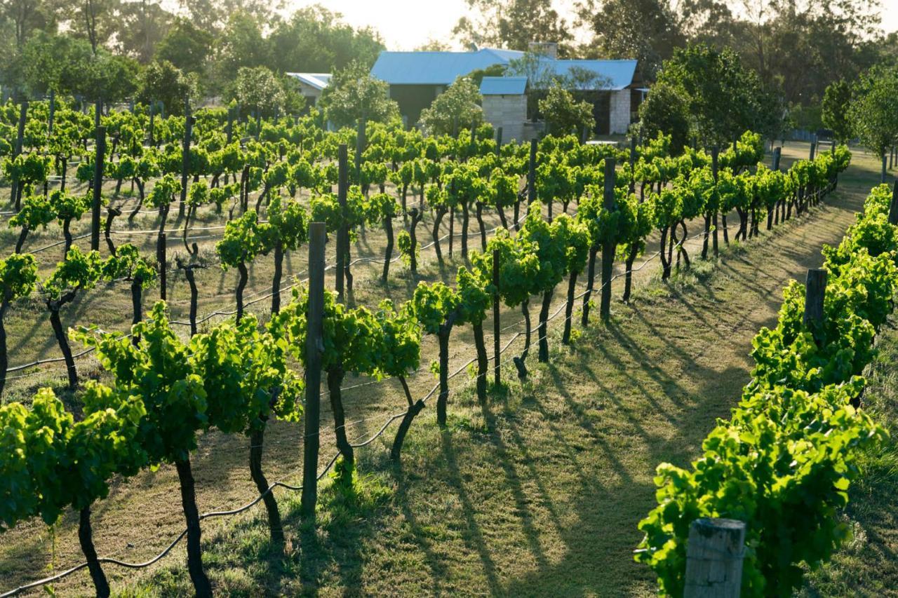 Thistle Hill Guesthouse - Walk To Many Wineries And Restaurants Pokolbin Bagian luar foto