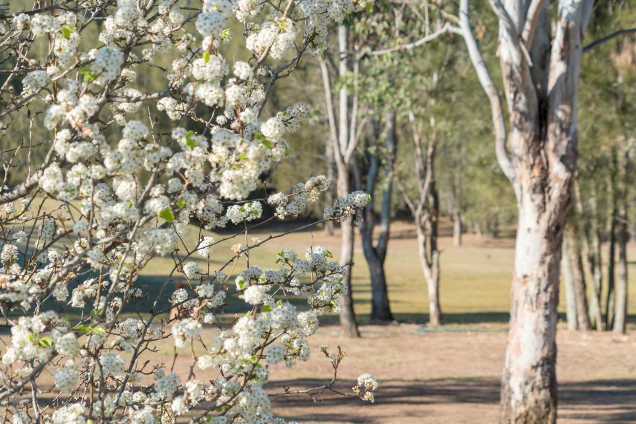 Thistle Hill Guesthouse - Walk To Many Wineries And Restaurants Pokolbin Bagian luar foto
