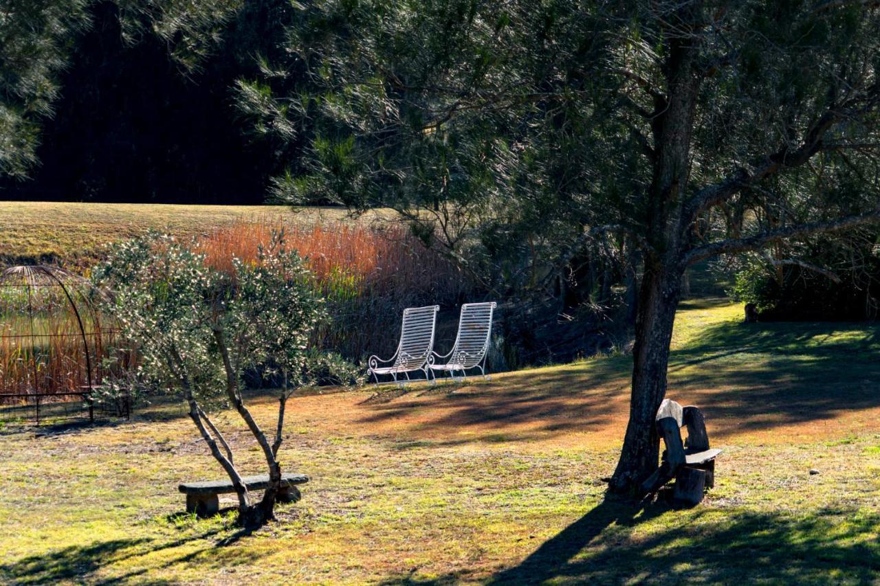 Thistle Hill Guesthouse - Walk To Many Wineries And Restaurants Pokolbin Bagian luar foto