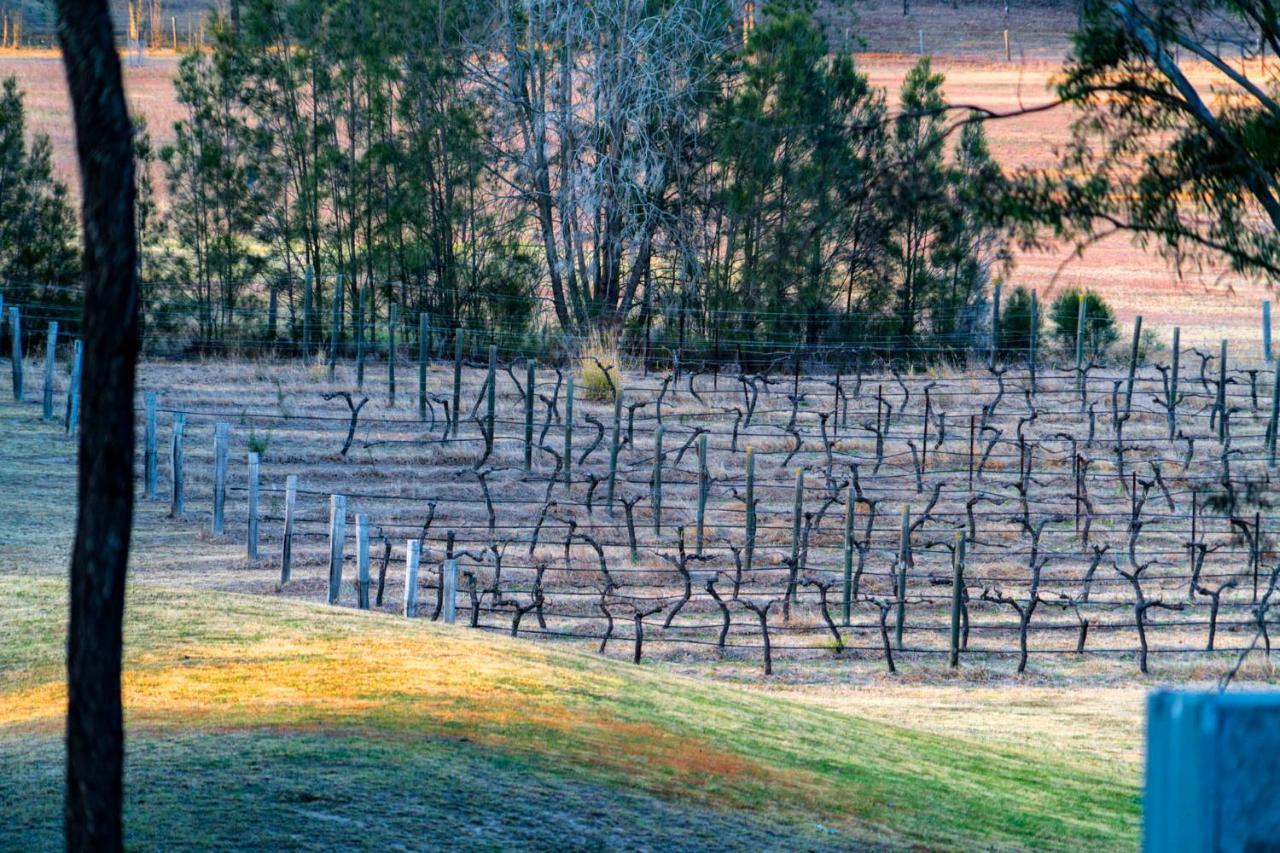 Thistle Hill Guesthouse - Walk To Many Wineries And Restaurants Pokolbin Bagian luar foto