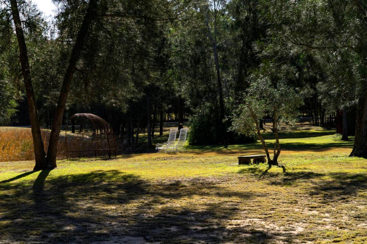 Thistle Hill Guesthouse - Walk To Many Wineries And Restaurants Pokolbin Bagian luar foto