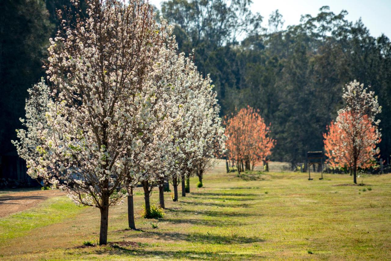 Thistle Hill Guesthouse - Walk To Many Wineries And Restaurants Pokolbin Bagian luar foto