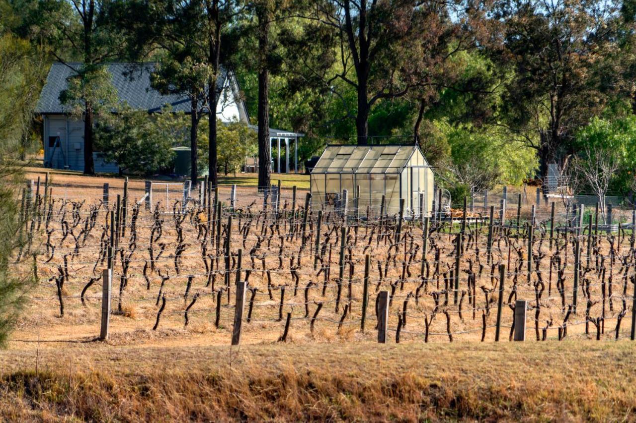 Thistle Hill Guesthouse - Walk To Many Wineries And Restaurants Pokolbin Bagian luar foto