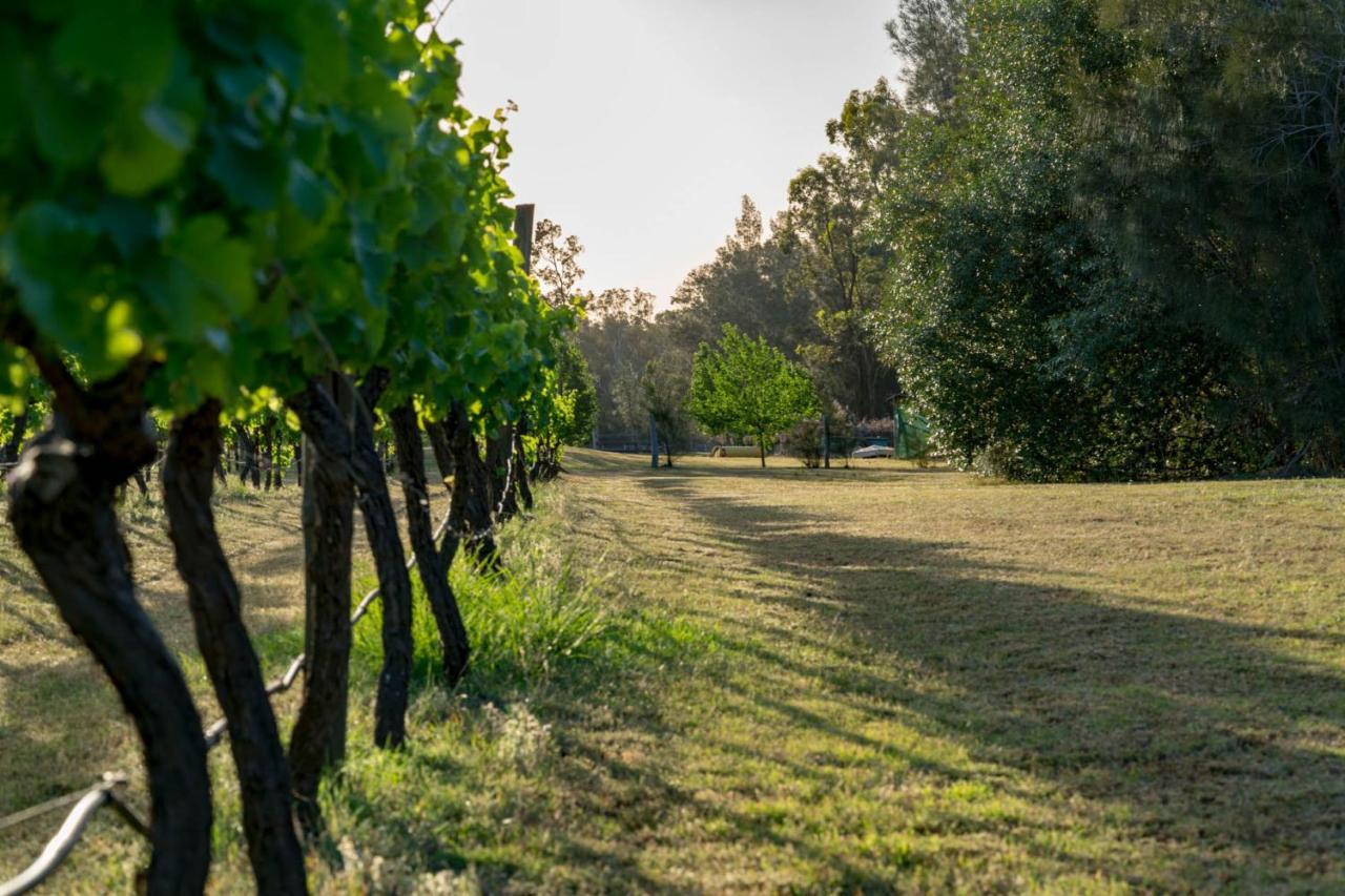 Thistle Hill Guesthouse - Walk To Many Wineries And Restaurants Pokolbin Bagian luar foto