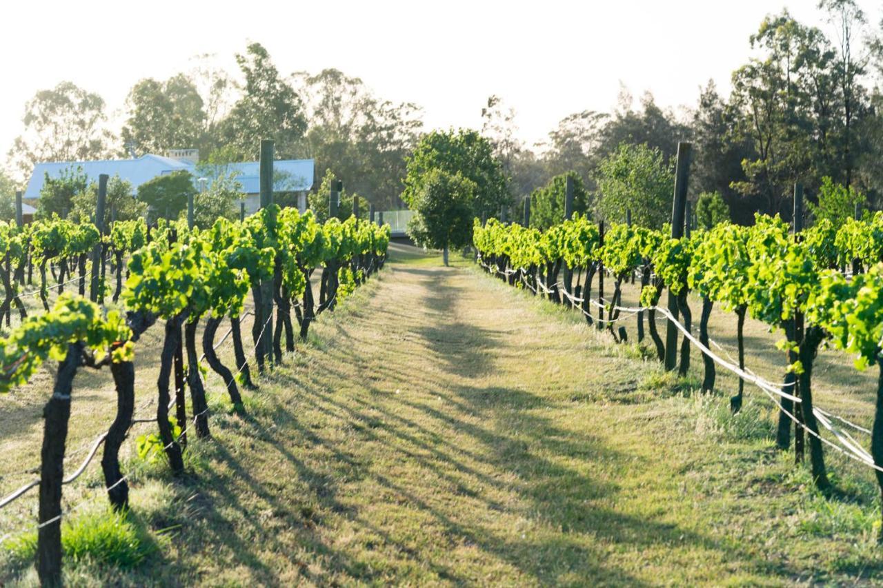 Thistle Hill Guesthouse - Walk To Many Wineries And Restaurants Pokolbin Bagian luar foto